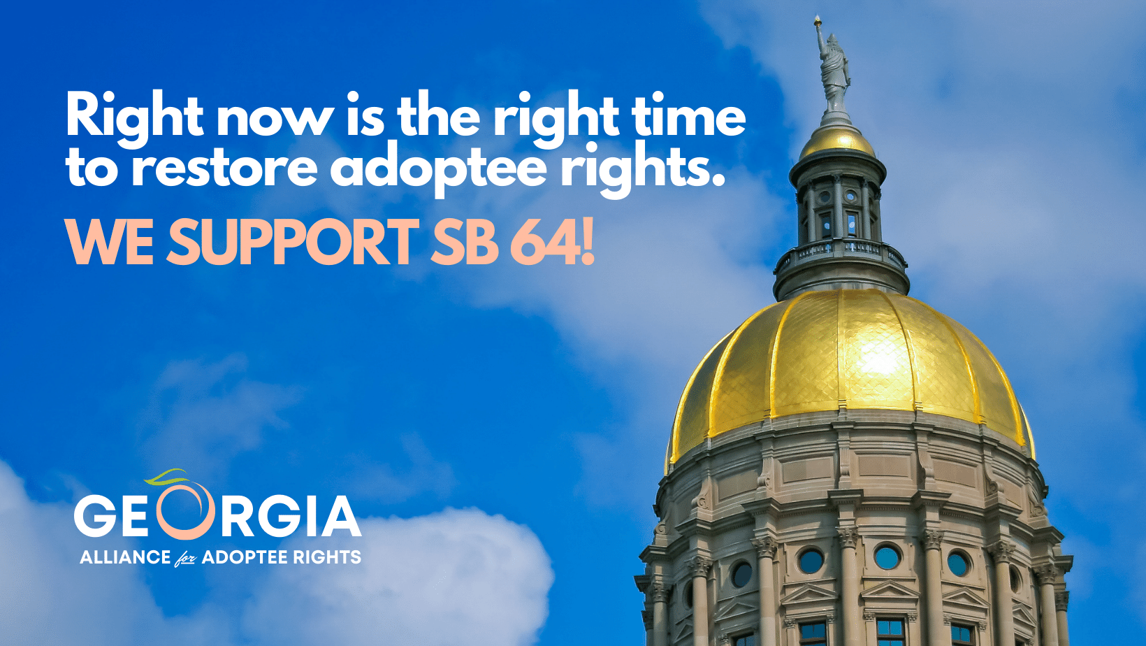 2023 Legislative Session | Georgia Alliance for Adoptee Rights